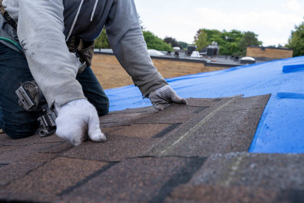 Best Roof Maintenance Services  in La Huerta, NM