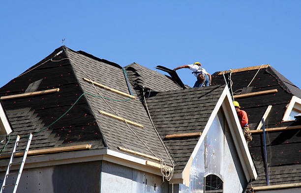 Best Roof Leak Repair  in La Huerta, NM