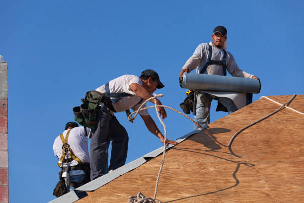 Best Roof Inspection Near Me  in La Huerta, NM