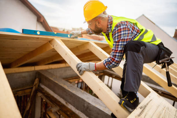 Best Roof Gutter Cleaning  in La Huerta, NM